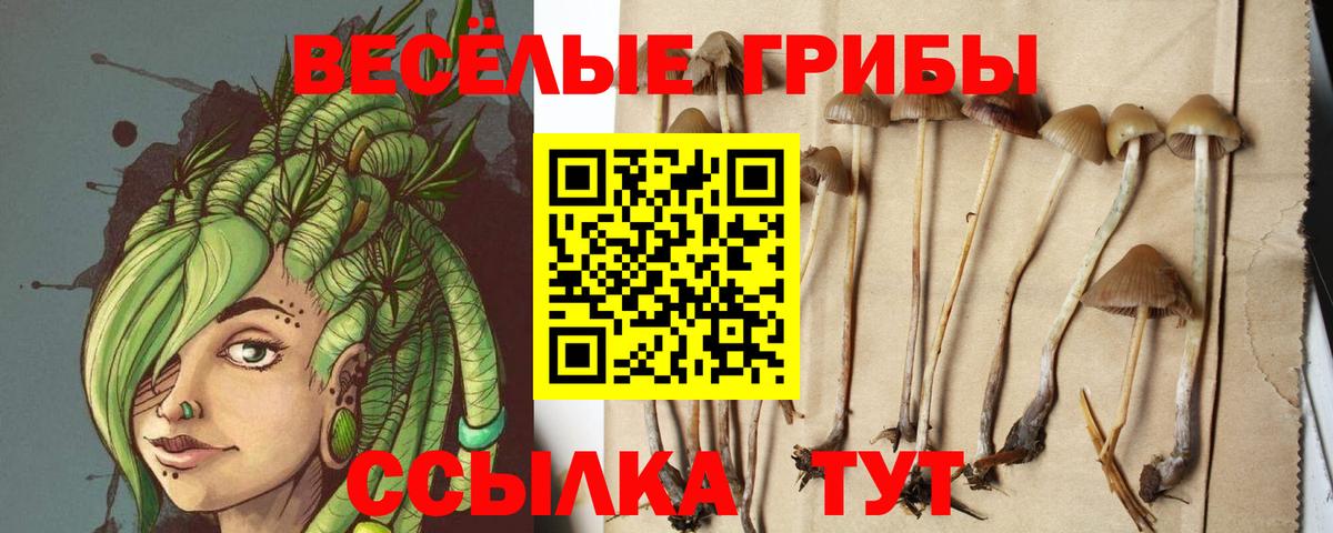 Переславль-Залесский  Псилоцибиновые грибы мухоморы  Галлюциногенные грибы мухоморы  Вход с VPN 